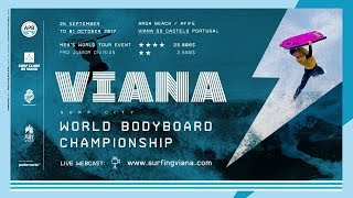 World Bodyboard Championship Viana do Castelo 2017  Day 5 [upl. by Ojoj]