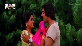 Humrahi Mere Humrahi Jhankar song [upl. by Yuria]