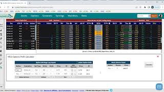 How to use Market Chameleon Options Profit Calculator for a Credit Put Spread [upl. by Sunny6]