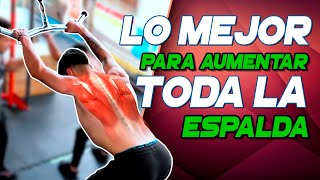 ¡USAMOS SOLO LA POLEA PARA TRABAJAR LA ESPALDA  03 ejercicios intensos🔥  Frank Serapión [upl. by Argela918]