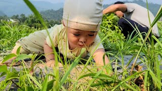 Harvesting pumpkin tops to sell single father  Nông Thôn [upl. by Whitcomb]