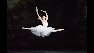 Giselle trailer The Royal Ballet [upl. by Courtenay967]