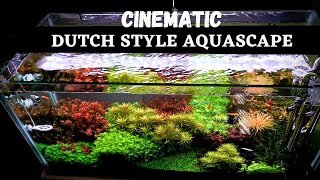 3 Feet Hi Tech Dutch Style Aquascape Cinematic [upl. by Arty]