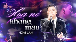 HOA NỞ KHÔNG MÀU  HOÀI LÂM đắm chìm cảm xúc với giọng ca buồn da diết  Live Stage [upl. by Ledua]