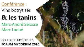 Conférence  Les vins botrytisés amp les tanins  Marc André Selosse et Marc Laoué Forum Mycorium [upl. by Inihor]