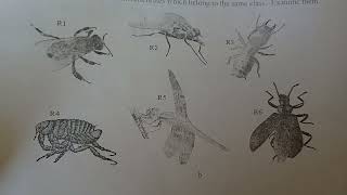 Biology form 3 Quick revision Questions and Answers 😍😍 [upl. by Diet667]