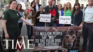 Chinas Gruesome Yulin Dog Meat Festival Cancelled  TIME [upl. by Hsot]