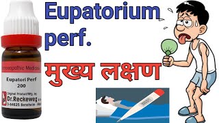 Eupatorium perfoliatum 30 ch 200ch uses in hindi Homeopathic master [upl. by Abocaj740]