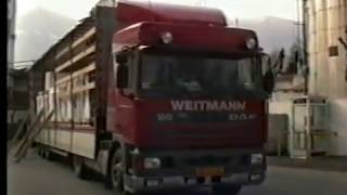 Weitman Transport Maastricht  uit de site wwwtransporthistorycom [upl. by Lyell]