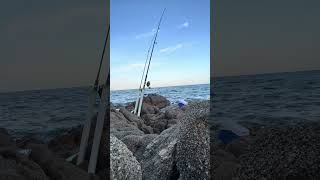 Rocks fishing Snapper [upl. by Jules]