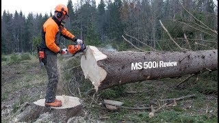 Stihl MS 500i  First Review Chainsaw wo Carburetor [upl. by Nael]