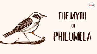 The Myth of Philomela  Ovids Metamorphoses [upl. by Madi]