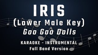 IRIS  LOWER MALE KEY  FULL BAND KARAOKE  INSTRUMENTAL  GOO GOO DOLLS [upl. by Ermine418]