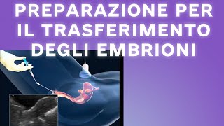 Preparazione per il trasferimento degli embrioni 2023 [upl. by Aivonas]