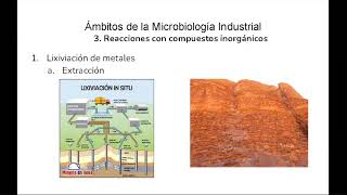 11a Ambitos de aplicación de la Microbiolgía Industrial [upl. by Adey]