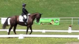 Ros Canter riding Emill Individual Dressage Test European 2 Championships [upl. by Dyoll286]