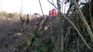 Treuil forestier artisannal en action de débardage de grume [upl. by Irneh]