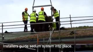 RampA Equipment Testing Centre  Green Roof Sedum System Installation by Bauder [upl. by Sremmus]