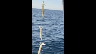 HOW TO TIE RIGGING HOOK AND SET UP SQUID LURES FISHING HALLIBUT SEA BASS TROUT AND MORE [upl. by Ylus]