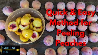 Quick amp Easy Method to Peel Peaches [upl. by Nylsirhc]