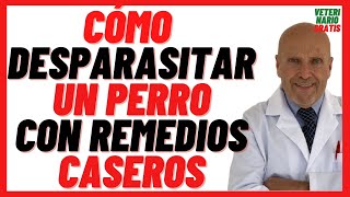 🟢 Como desparasitar un Perro con Lombrices 🟢 Naturalmente con Ajo y otros Remedios Caseros [upl. by Araldo]