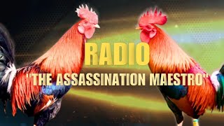 RADIO GAMEFOWL BLOODLINE Fighting Style and History [upl. by Adila735]