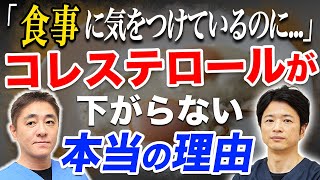 【コレステロール値が気になる方必見】手軽に取り入れられる食事を胃腸のプロが徹底解説します。対談企画 教えて平島先生 秋山先生 No259 [upl. by Philender815]