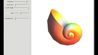 Model of Shell Growth [upl. by Rusticus]