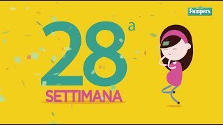 28° settimana di gravidanza [upl. by Mercado]