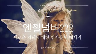 엔젤넘버 222 2222의 의미🤍새로운 기회에 대한 천사들의 메세지 [upl. by Novel]