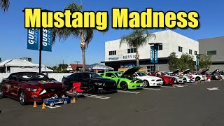 Mustang Madness All Ford Car Show 2023 Buena Park California [upl. by Adai]