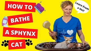 How To BATHE a SPHYNX CAT BY YOURSELF Vet Demonstrates [upl. by Astred]