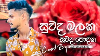 Suwada Malaka  සුවද මලක සුවද පොදක්  TikTok Hitz  Cover Voice Of Achintha Rusiru [upl. by Percy]