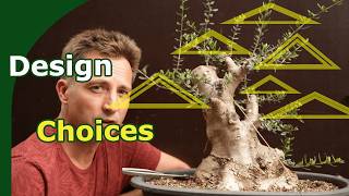 Bonsai Design Choices Styling an Olive Bonsai [upl. by Enomad]