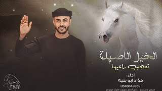 جـديد الخيل الاصيلة ♪ تعجب راعيها  فؤاد أبو بنية 2022 [upl. by Rosemary62]