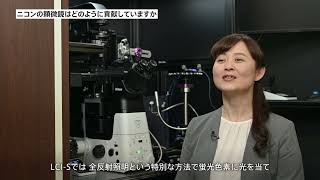 Nikon WellBeing：”細胞の声を聴く技術”の開発ライブセルダイアグノシス [upl. by Laerdna]