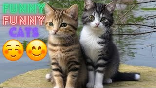 Funniest Cat Videos In The World 😹Funny Cat Videos On Youtube😂 Funny Cat Videos Compilation😺50 [upl. by Johanna]