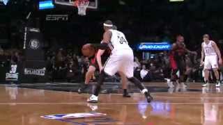 Top 10 Brooklyn Nets Plays of the 20132014 Season [upl. by Keese]