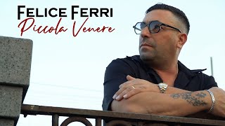 Felice Ferri  Piccola Venere Cover 2024 [upl. by Leanora]