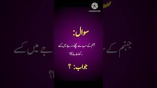 Islamic general knowledge questions and answers in Urdu hindi very important islamiyat questions [upl. by Shriver]