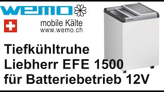 Tiefkühlbox für Speiseis 12 Volt Transport Kühlbox Eiscreme Batteriebetrieb Liebherr EFE 1500 [upl. by Leund358]