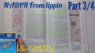 Lippincott chap 13  NADPH uses part 3 of 4 [upl. by Fosdick]