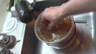 HOMEBREW HOW TO make malted barley [upl. by Ariayek57]