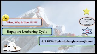 What Why amp How of Rapaport Leubering Cycle or 23 BPG Shunt Pathway [upl. by Nayb]