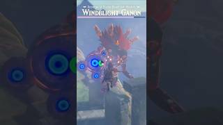 Windblight Ganon Fight zelda botw breathofthewild nintendo nintendoswitch [upl. by Maccarone840]