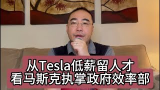 【第346期】从Tesla低薪留人才看马斯克执掌政府效率部 [upl. by Yralih]