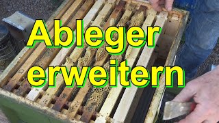 Ableger erweitern [upl. by Pippas578]