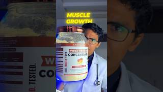 Whey protein Concnentrate Vs Isolate [upl. by Eurydice]