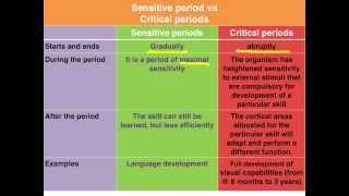 Sensitive vs Critical periods of learning  VCE Psychology [upl. by Merissa]