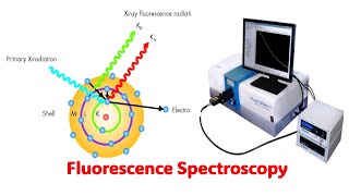 Fluorescence Spectroscopy l Explained with Animation [upl. by Malan]